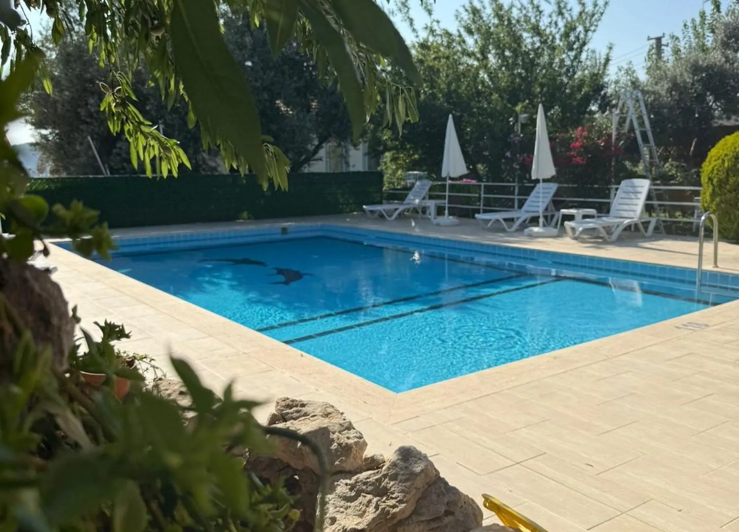 Hotel Gold Monami Boutique Otel Fethiye Turquia