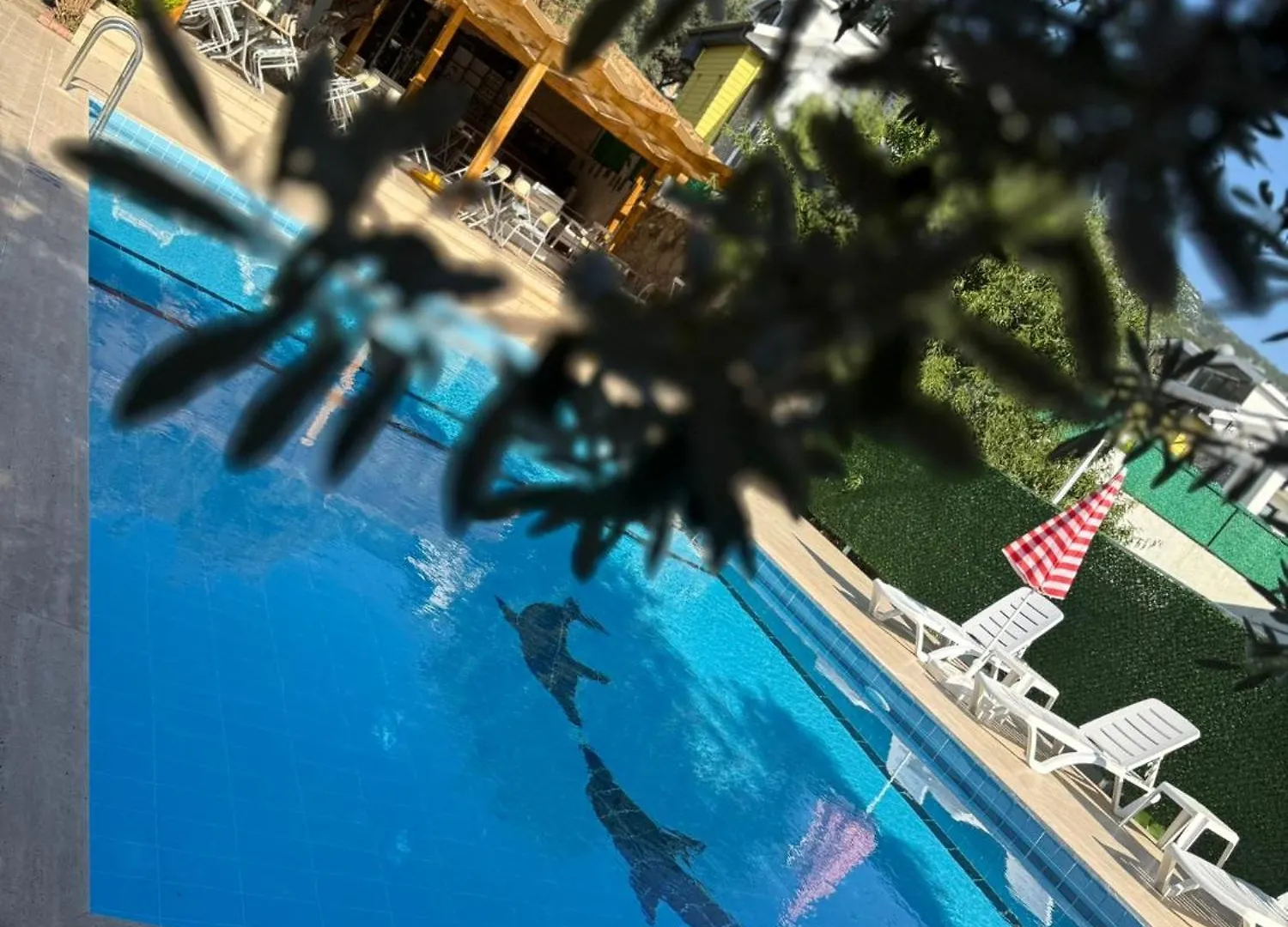 Hotel Gold Monami Boutique Otel Fethiye